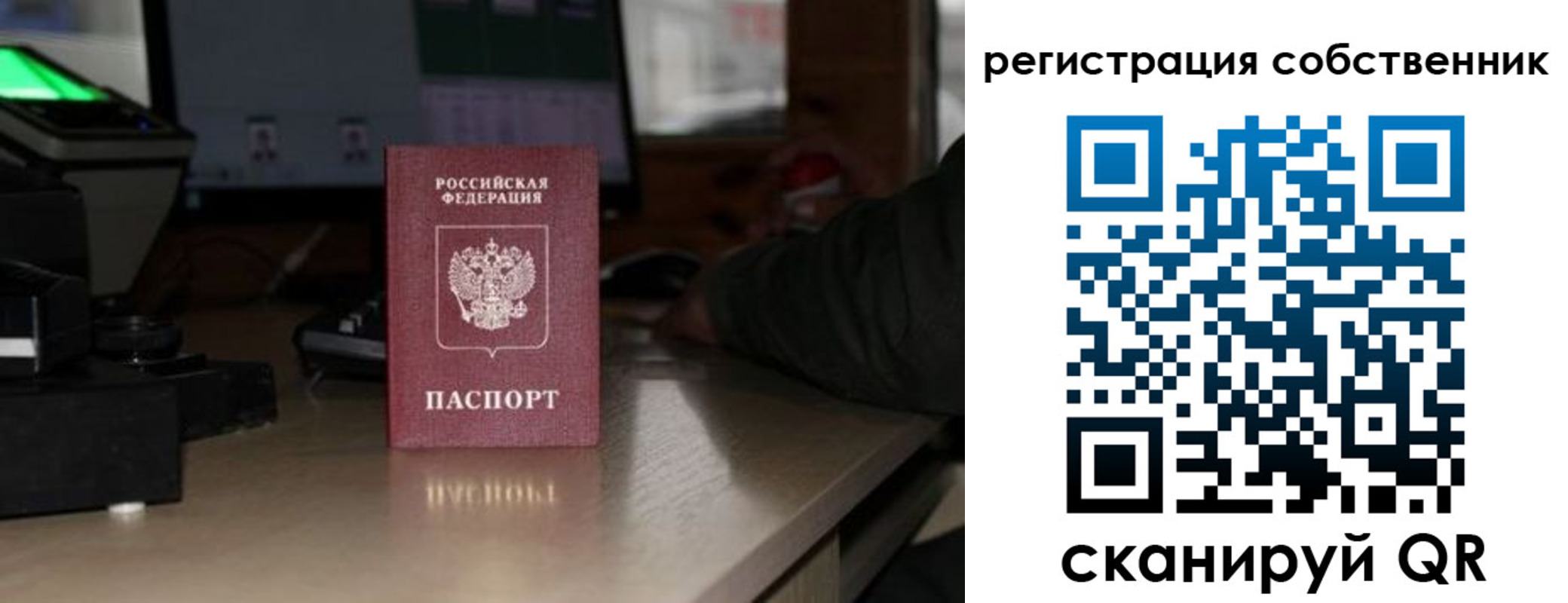 прописка поиск в Бабаево